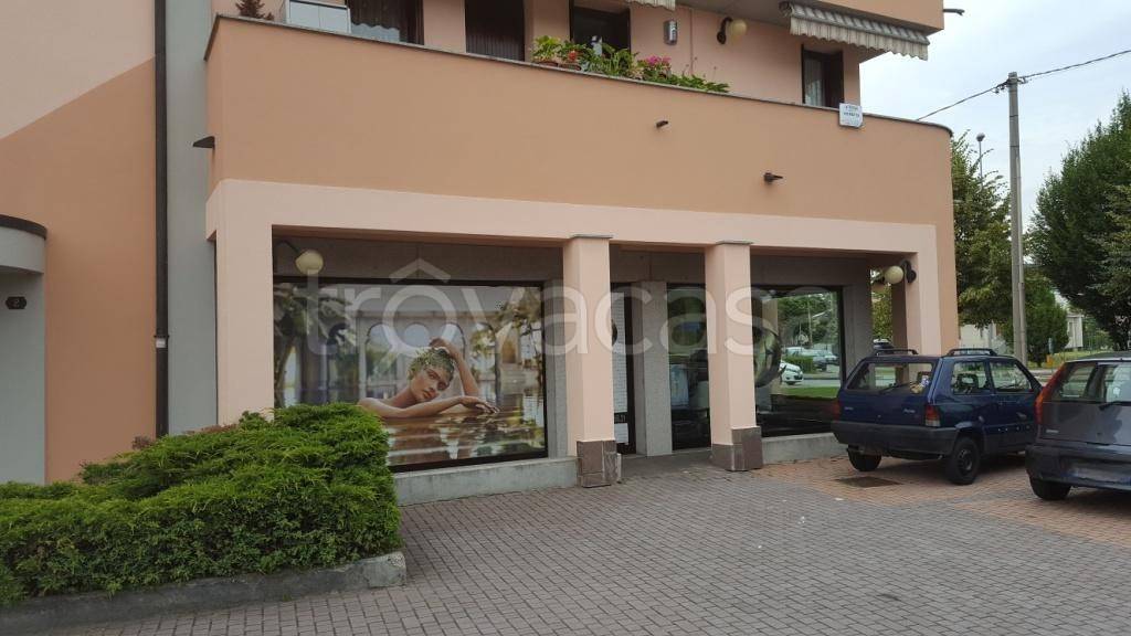 immagine annuncio 3 di 4
