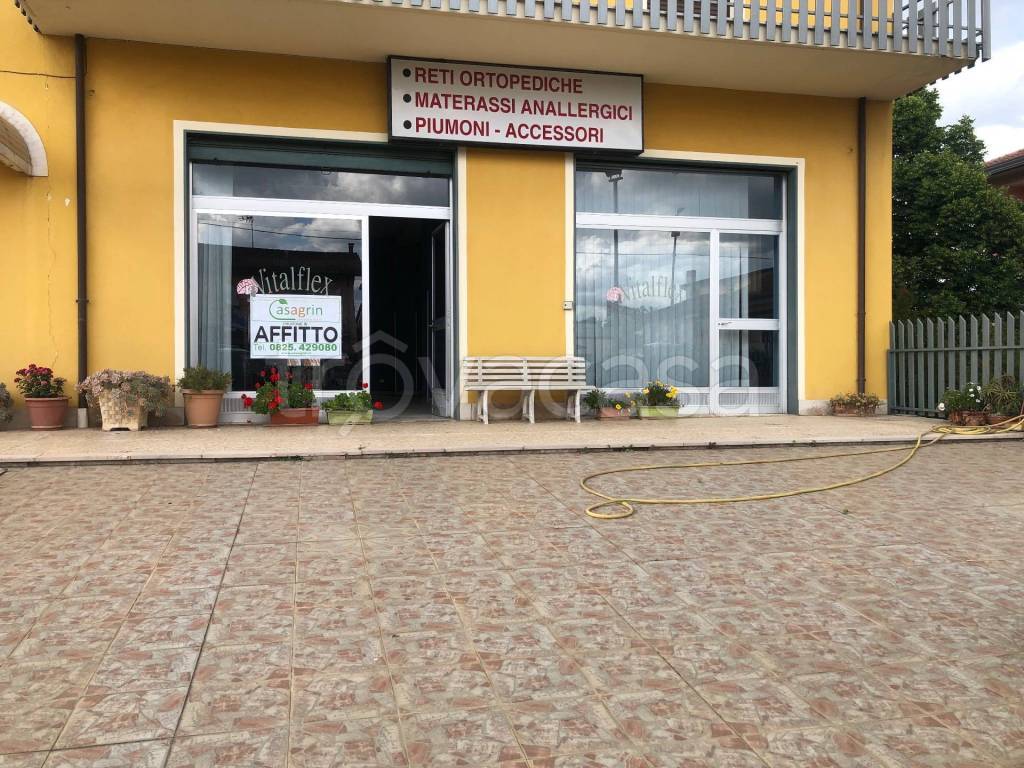 immagine annuncio 12 di 13