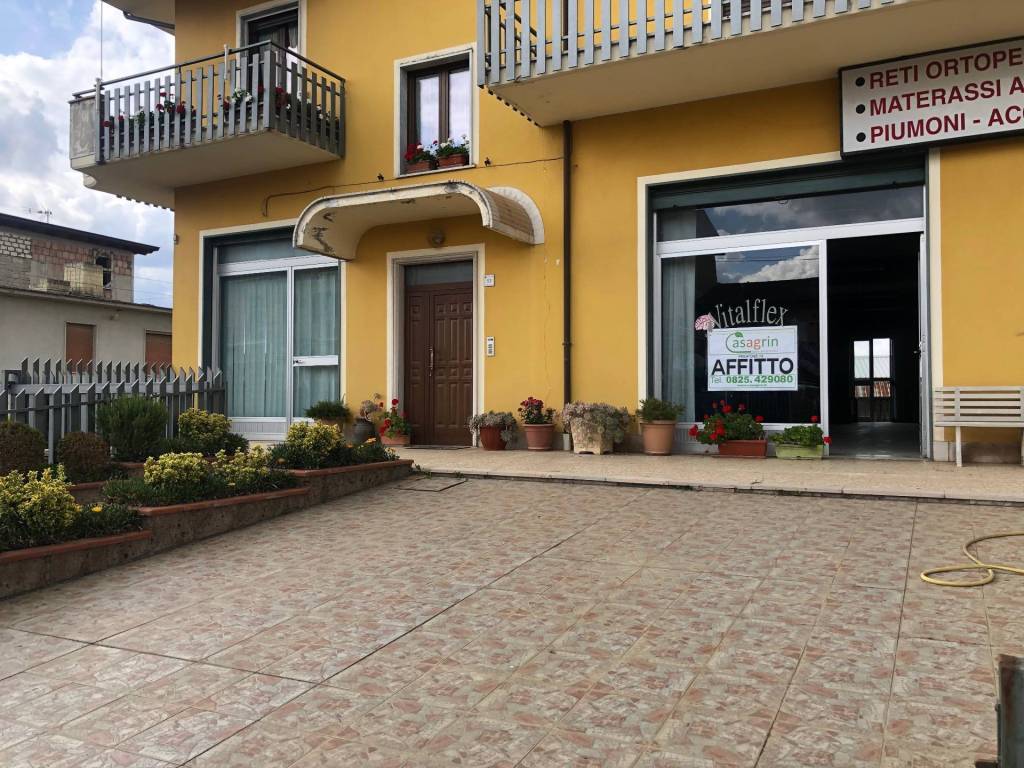immagine annuncio 11 di 13
