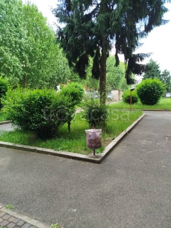 immagine annuncio 7 di 15