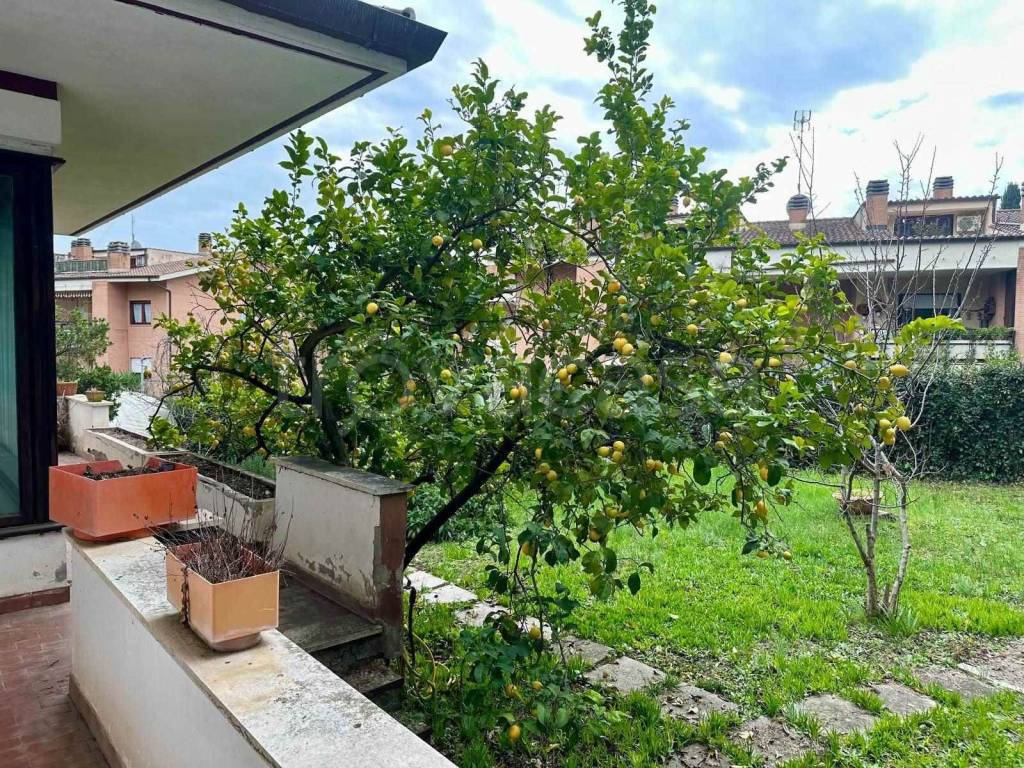 immagine annuncio 11 di 15