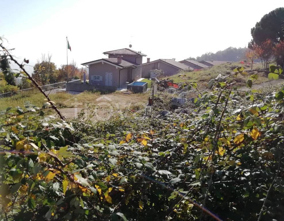 immagine annuncio 5 di 7