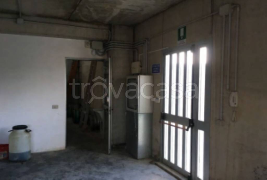 immagine annuncio 4 di 9