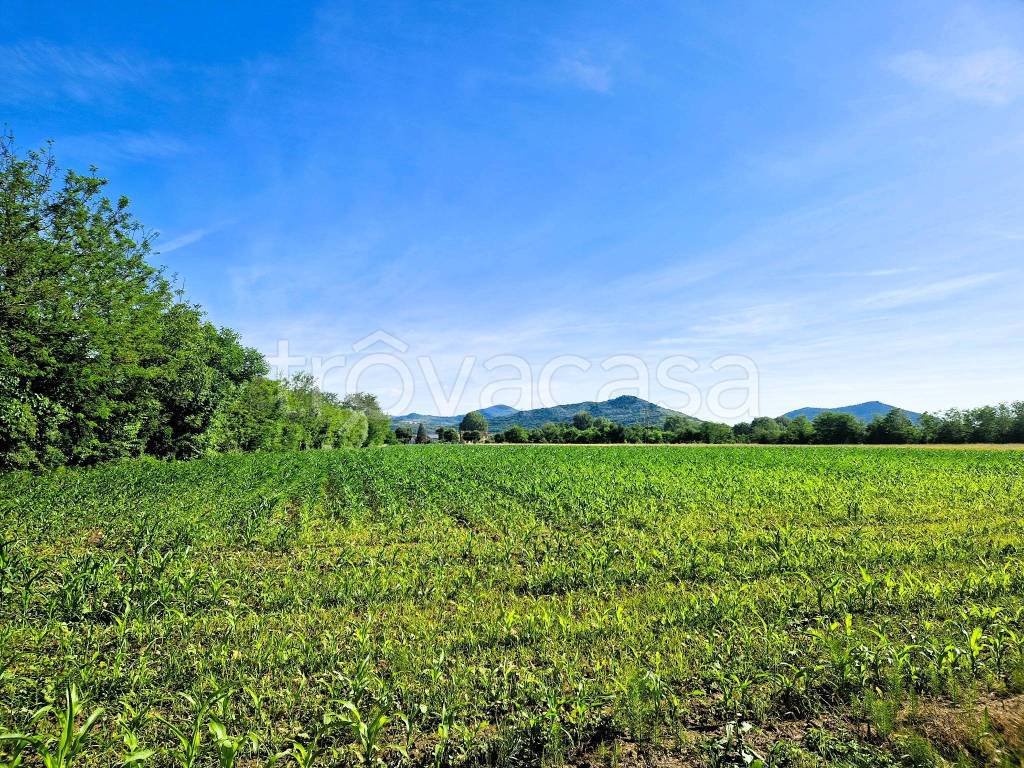 immagine annuncio 1 di 2