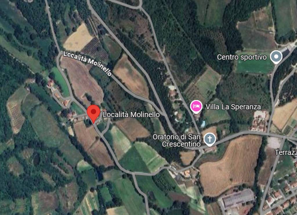 immagine annuncio 6 di 13