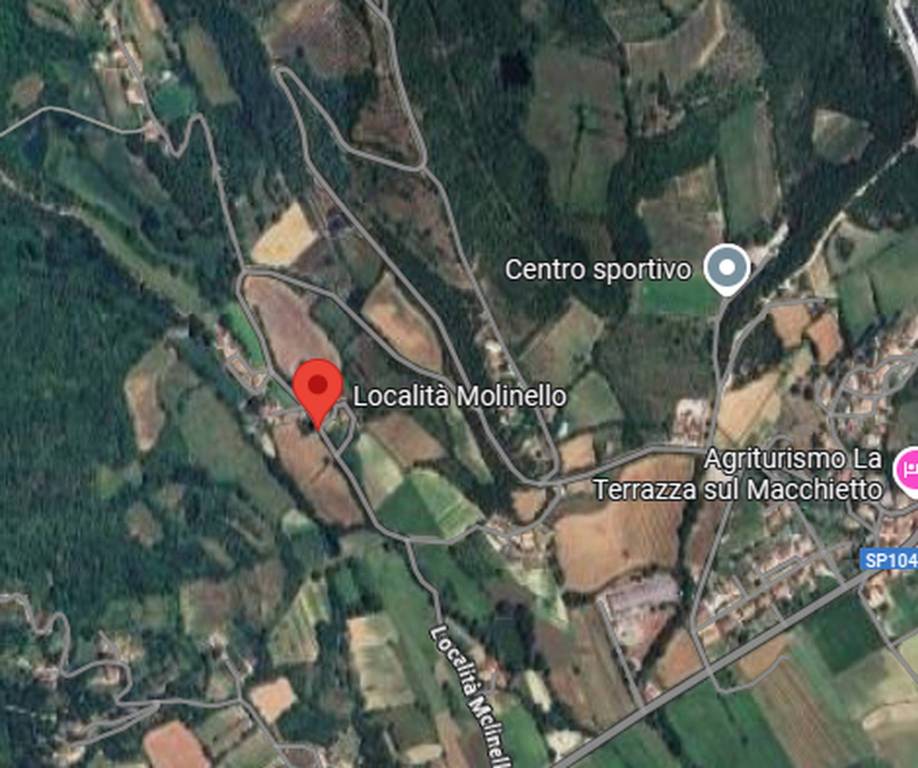 immagine annuncio 7 di 13