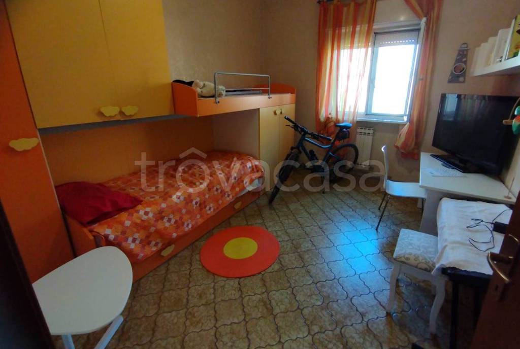 immagine annuncio 9 di 14