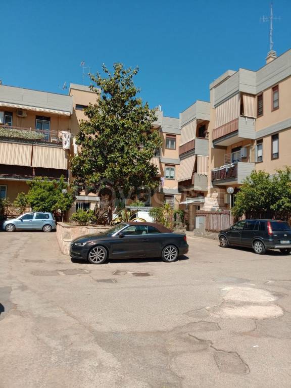 immagine annuncio 11 di 14