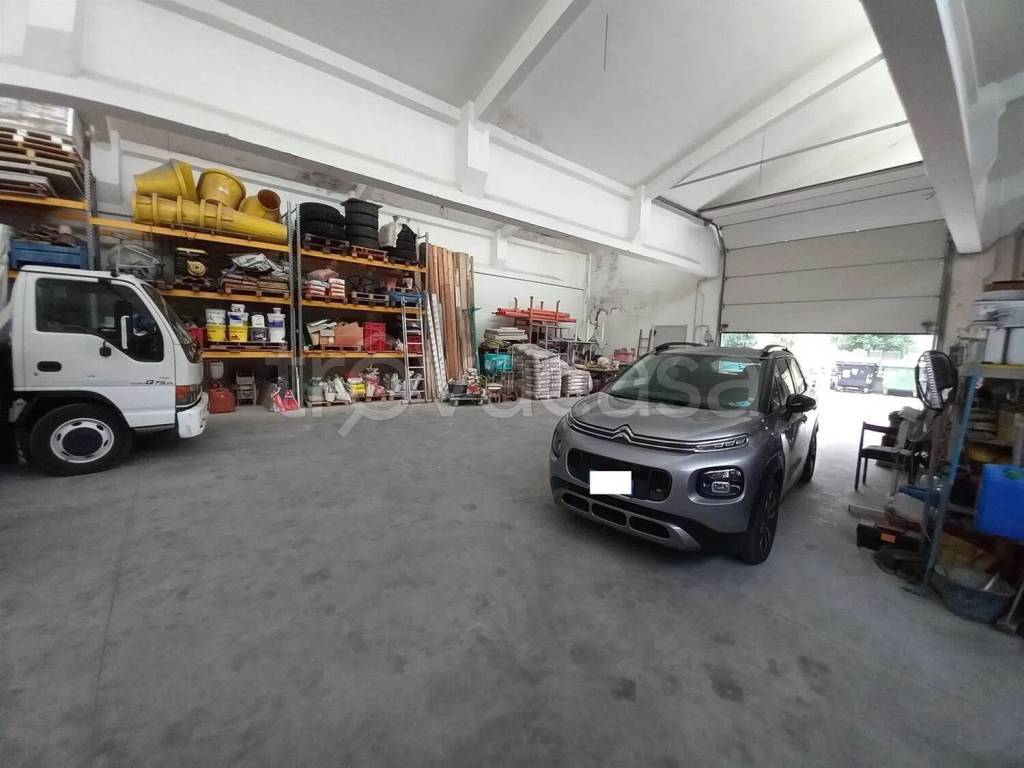 immagine annuncio 2 di 8