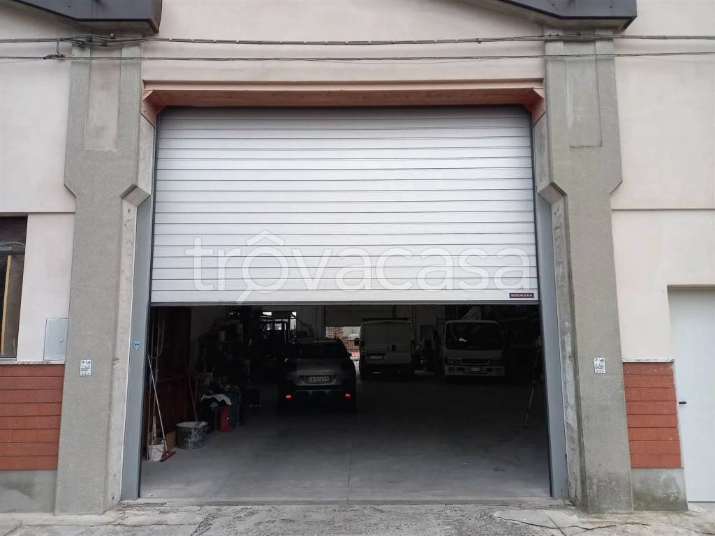 immagine annuncio 4 di 8