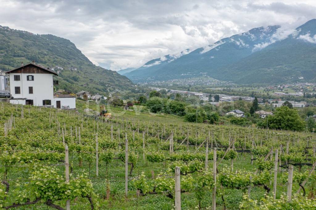 immagine annuncio 3 di 10