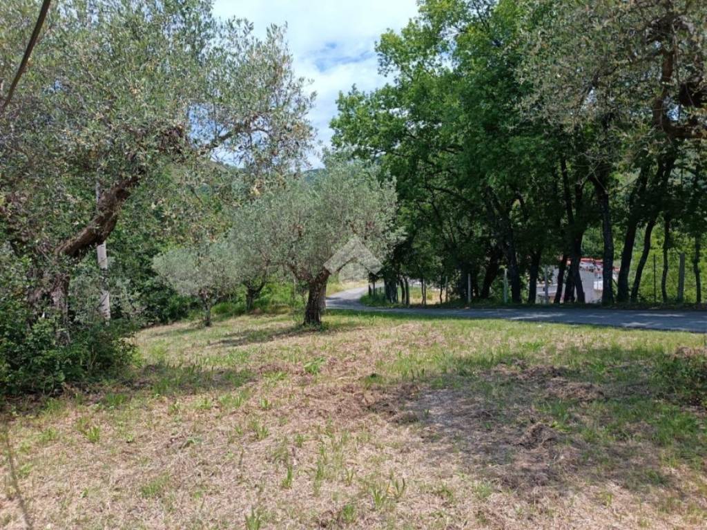 immagine annuncio 8 di 13