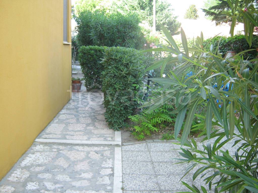 immagine annuncio 12 di 14