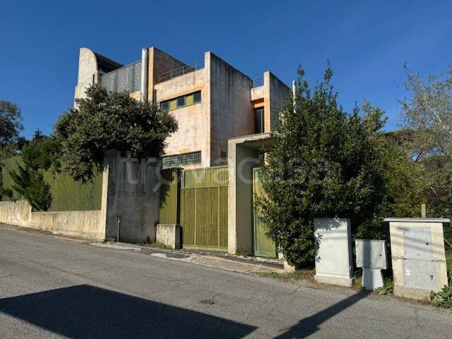 immagine annuncio 2 di 12
