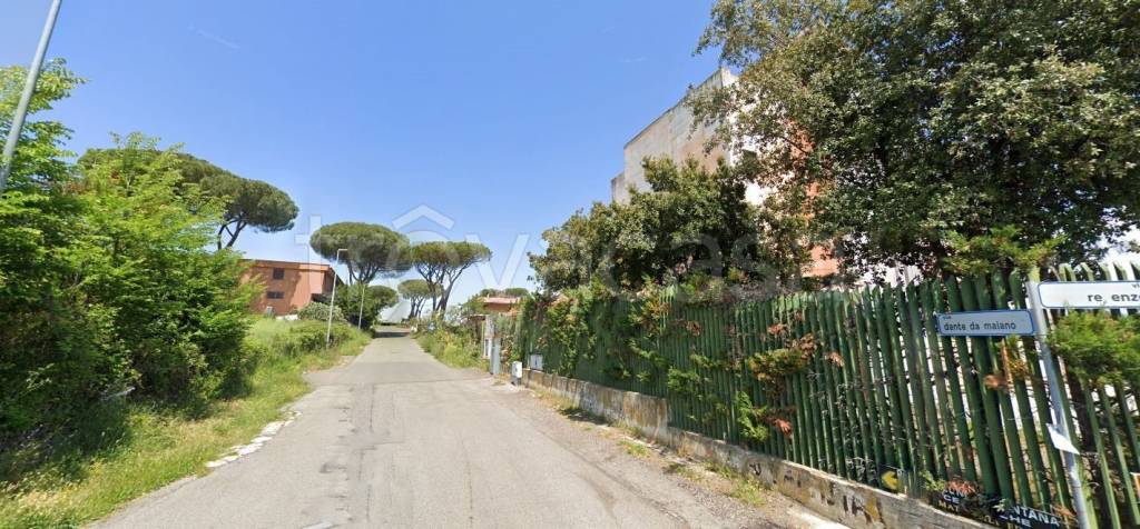 immagine annuncio 3 di 12