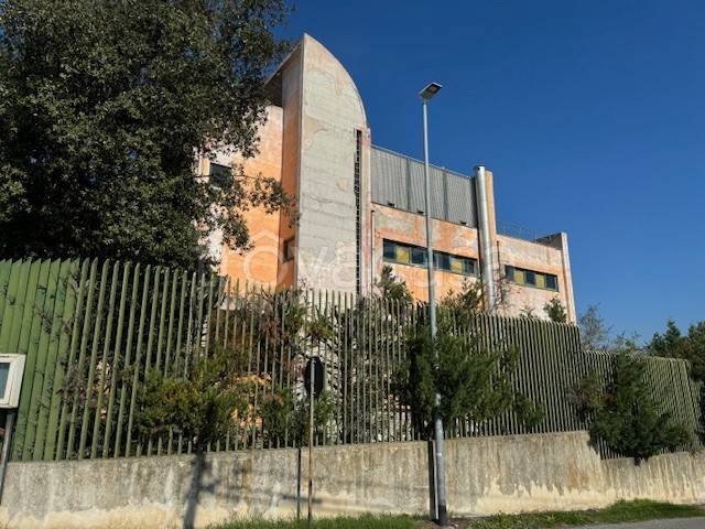 immagine annuncio 7 di 12