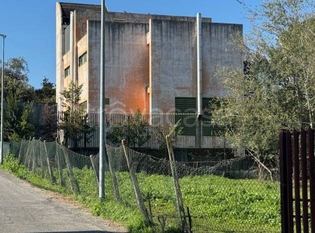 immagine annuncio 8 di 12