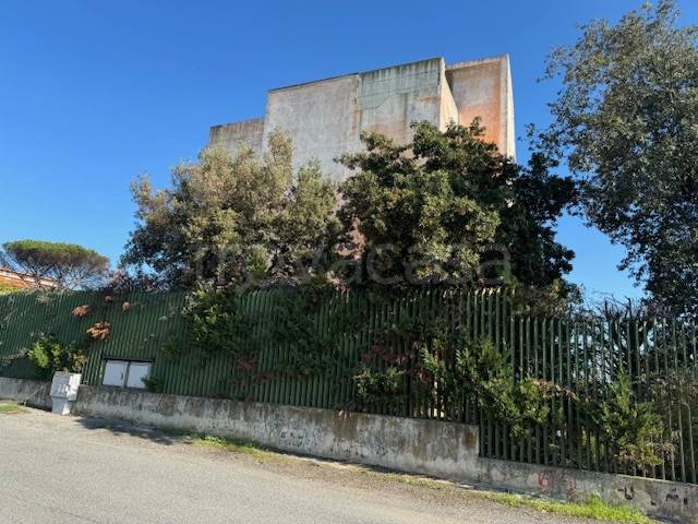 immagine annuncio 10 di 12