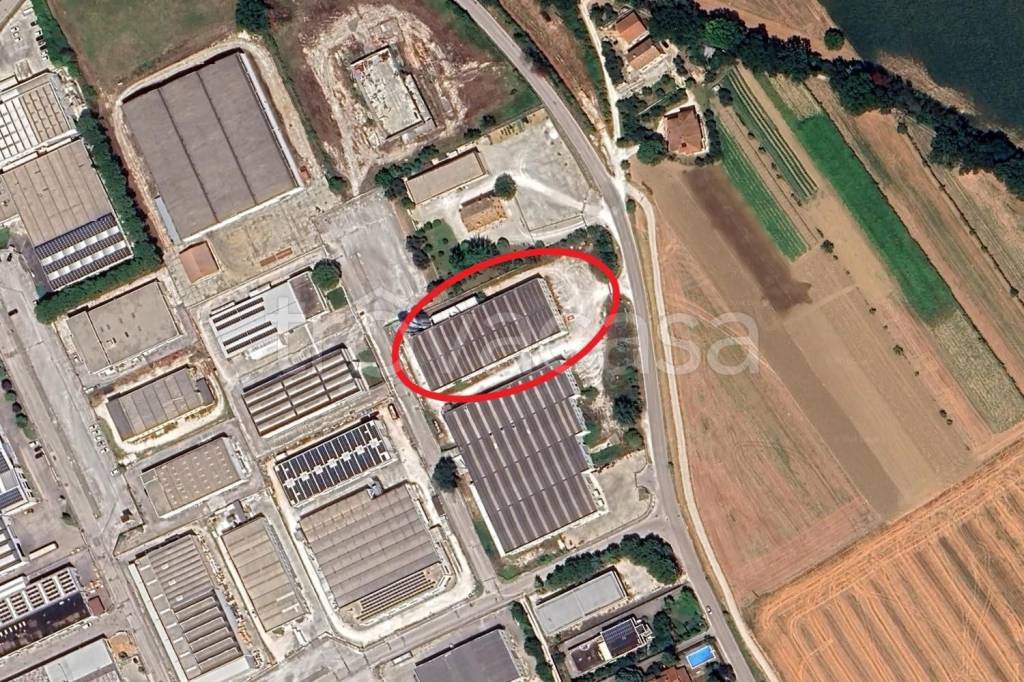 immagine annuncio 12 di 15
