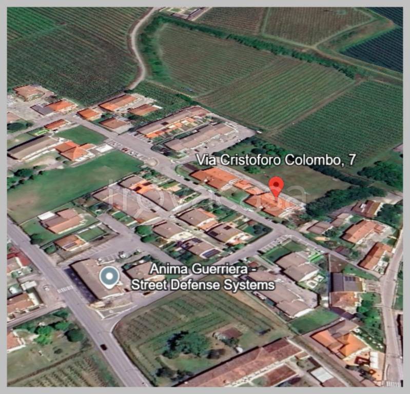 immagine annuncio 14 di 15