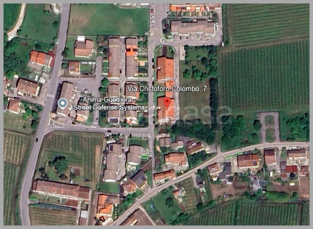 immagine annuncio 10 di 15