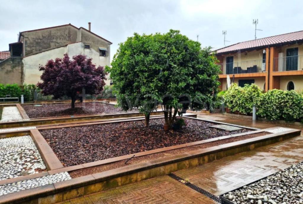immagine annuncio 7 di 12