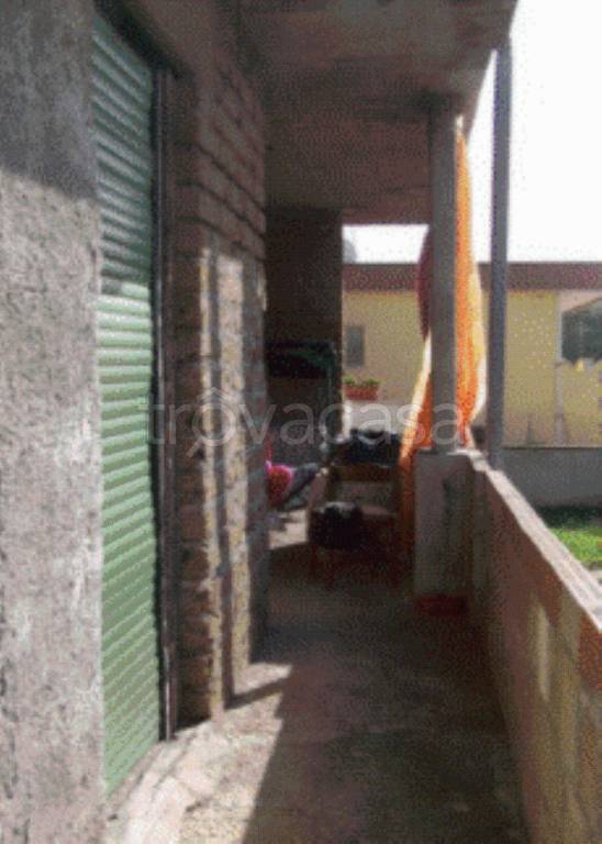 immagine annuncio 8 di 11