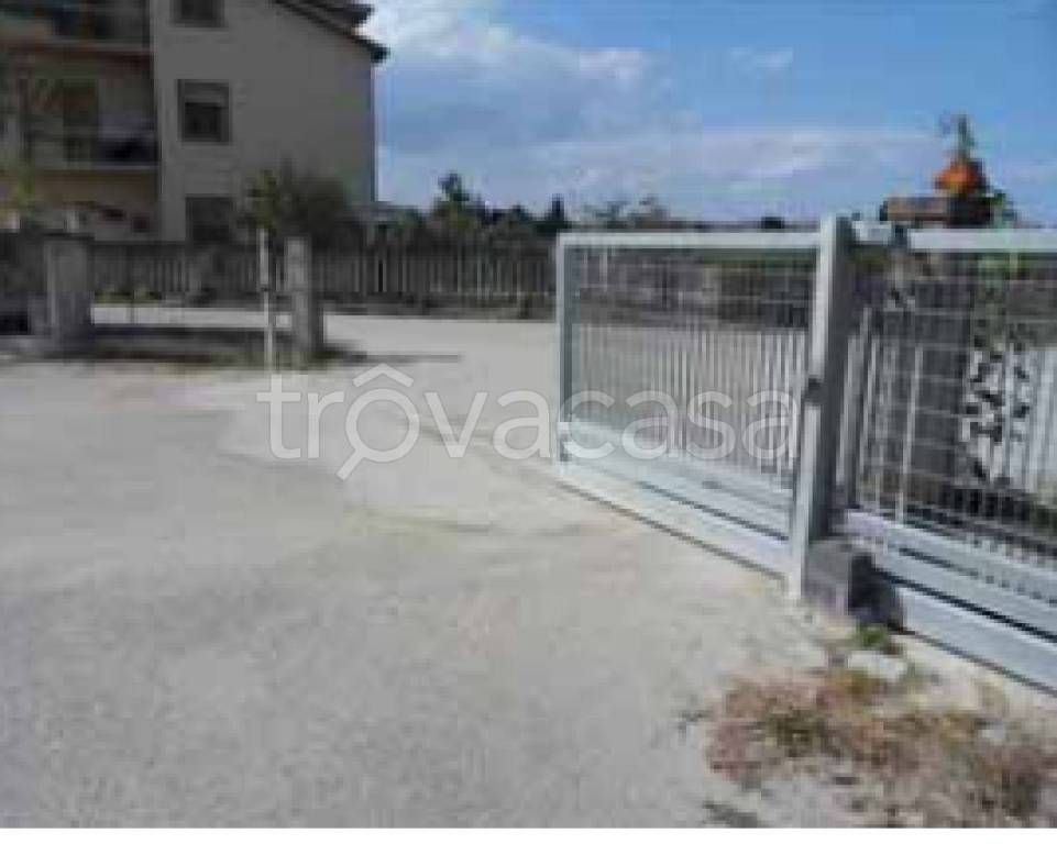 immagine annuncio 2 di 12