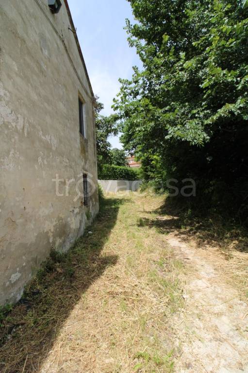 immagine annuncio 10 di 14