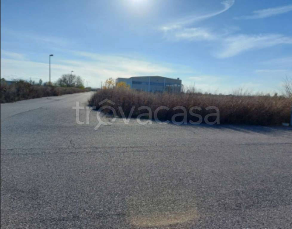 immagine annuncio 3 di 11