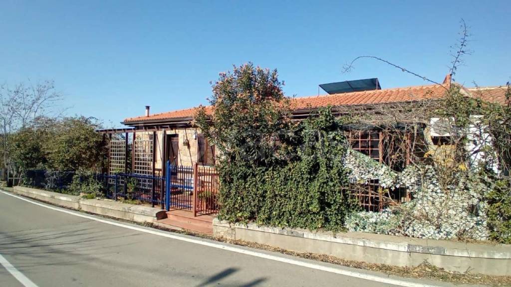 immagine annuncio 10 di 14