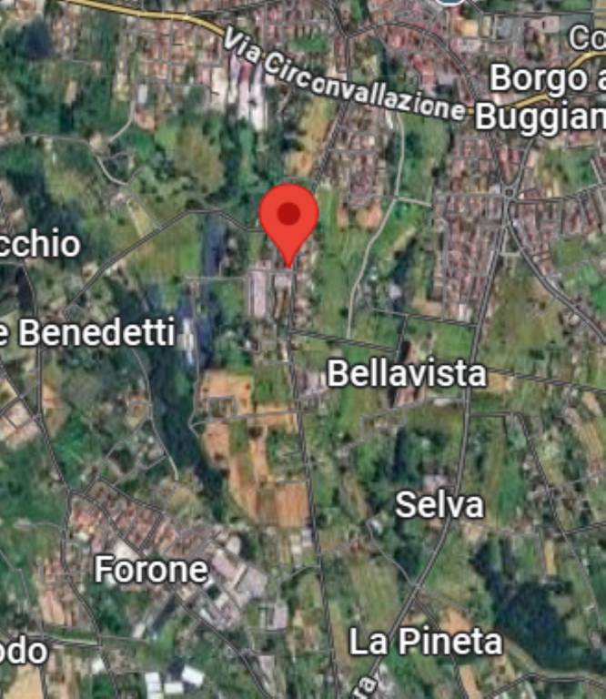 immagine annuncio 9 di 13