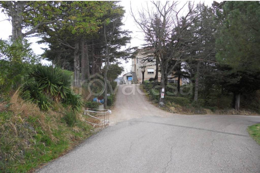 immagine annuncio 13 di 14