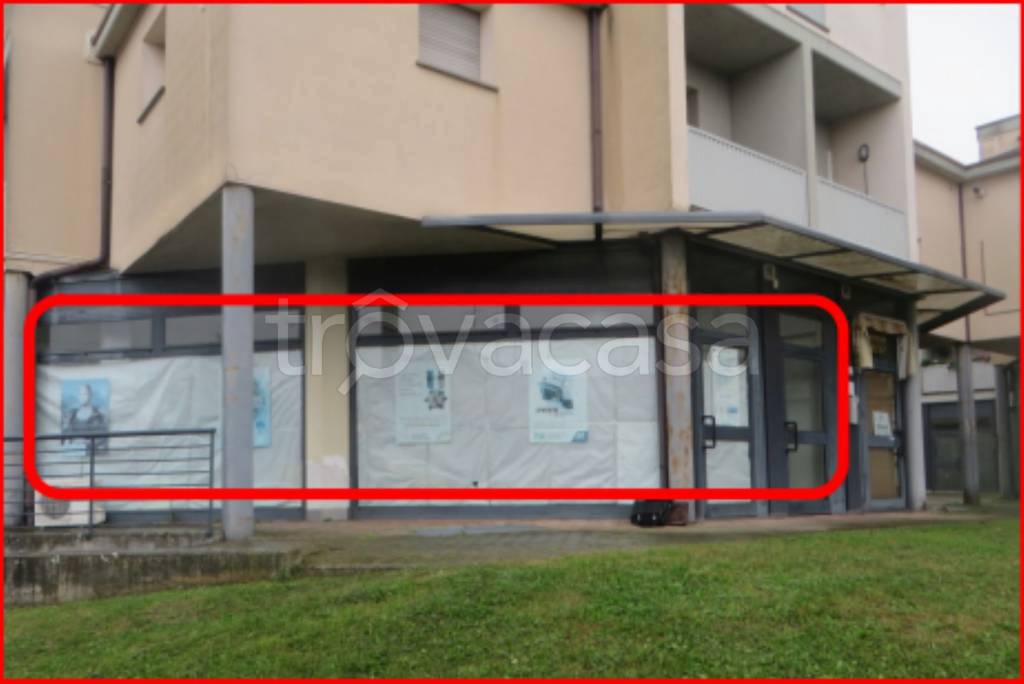 immagine annuncio 4 di 11