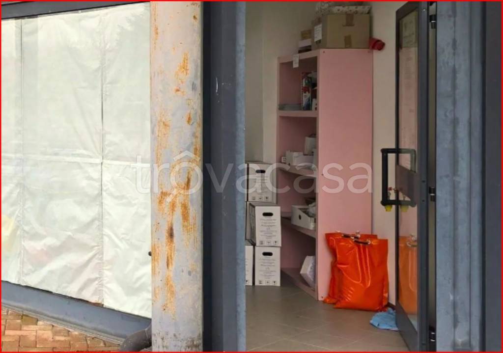 immagine annuncio 5 di 11