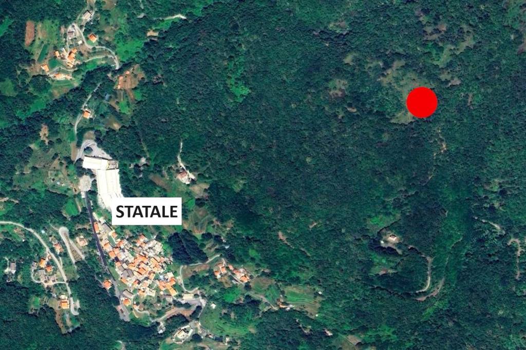 immagine annuncio 9 di 12