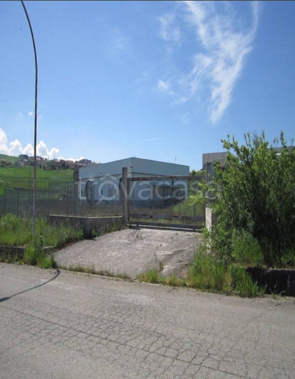 immagine annuncio 6 di 13