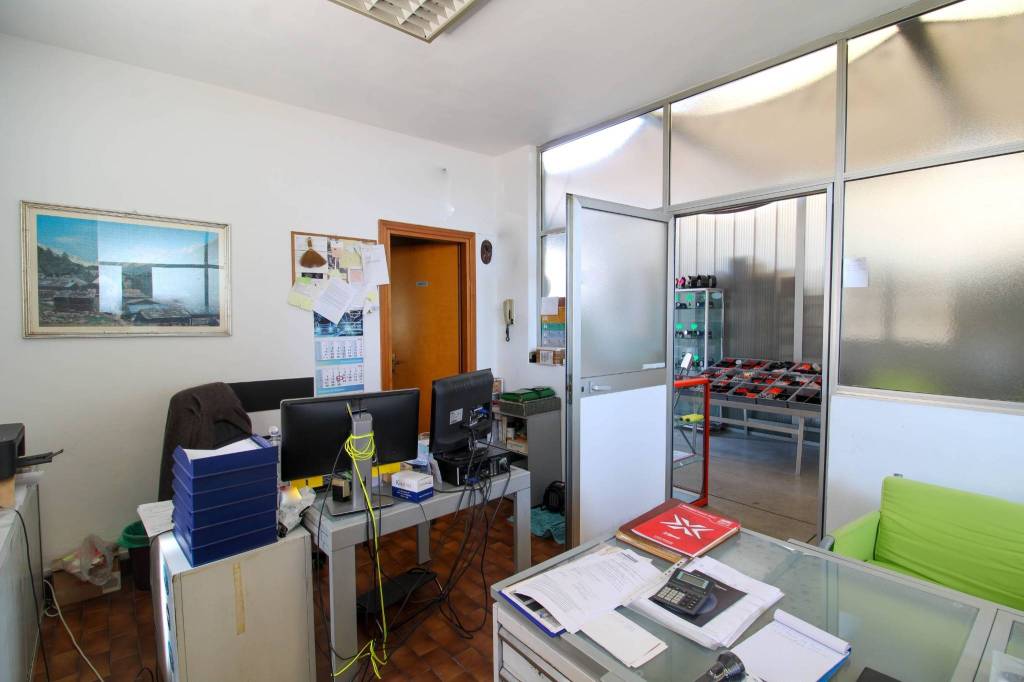 immagine annuncio 5 di 12