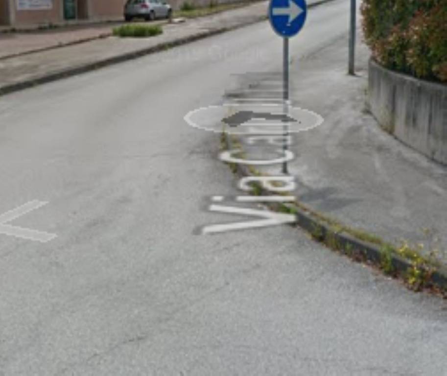 immagine annuncio 3 di 11
