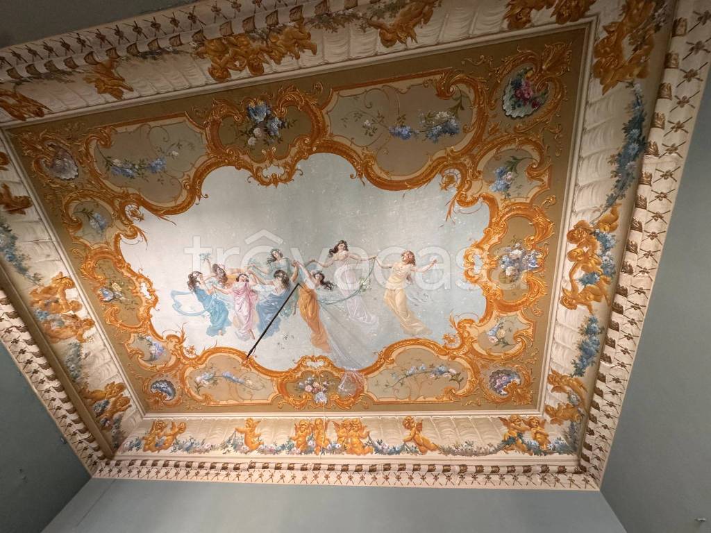 immagine annuncio 0 di 15