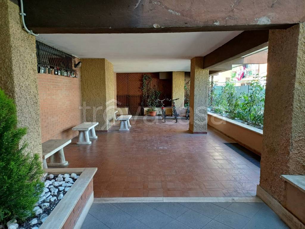 immagine annuncio 9 di 15