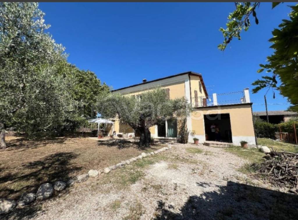 immagine annuncio 10 di 12