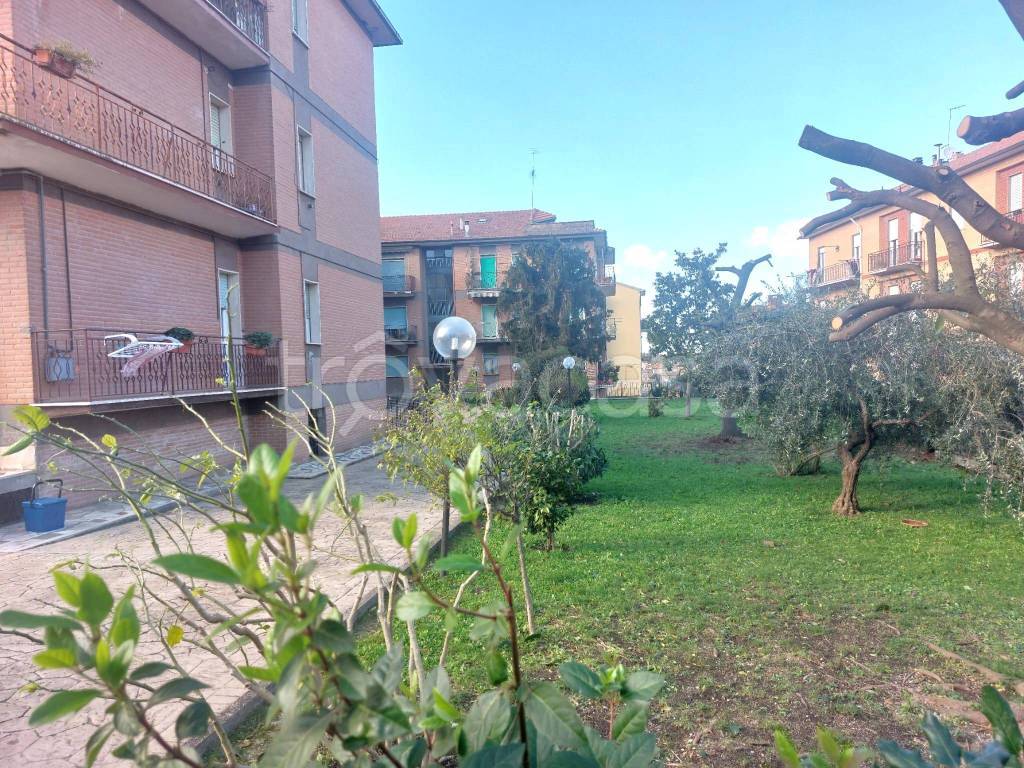 immagine annuncio 9 di 13