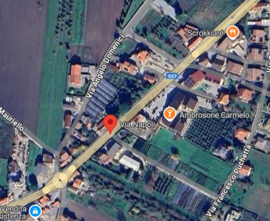 immagine annuncio 1 di 12