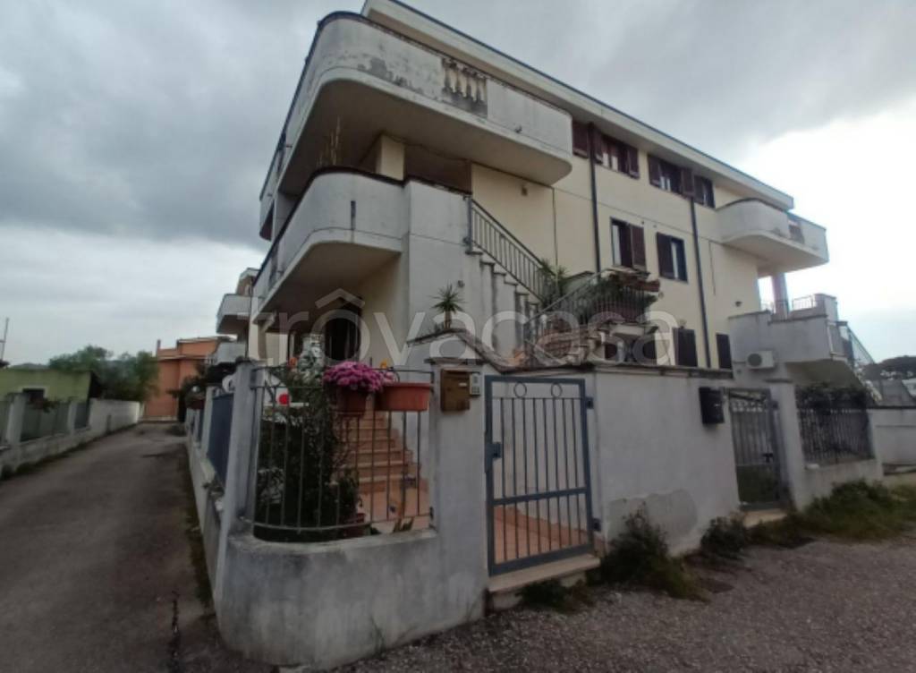 immagine annuncio 8 di 11