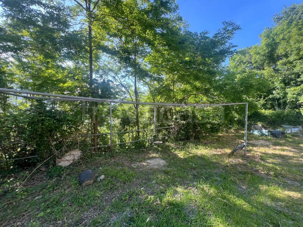 immagine annuncio 6 di 11