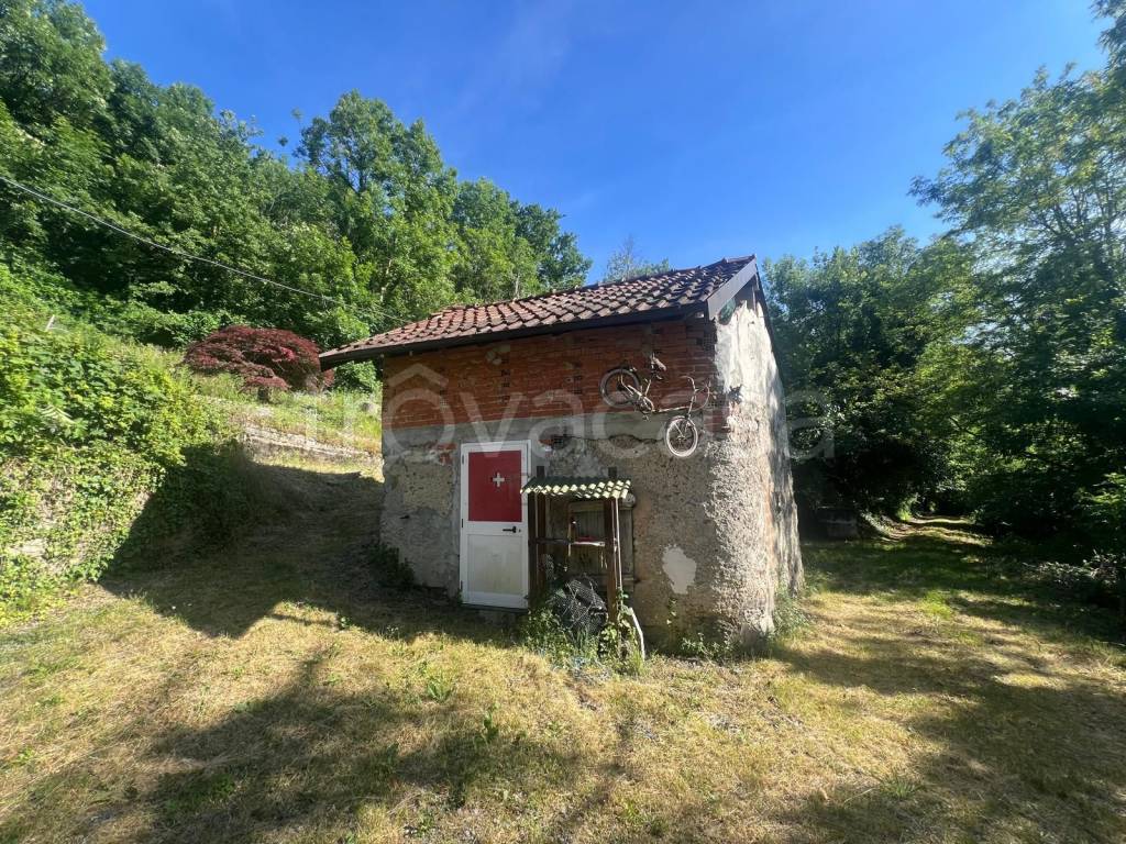 immagine annuncio 5 di 11