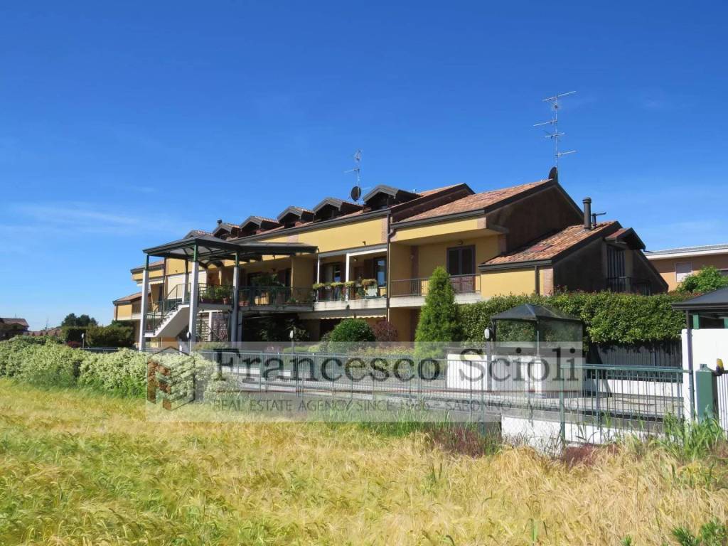 immagine annuncio 12 di 15