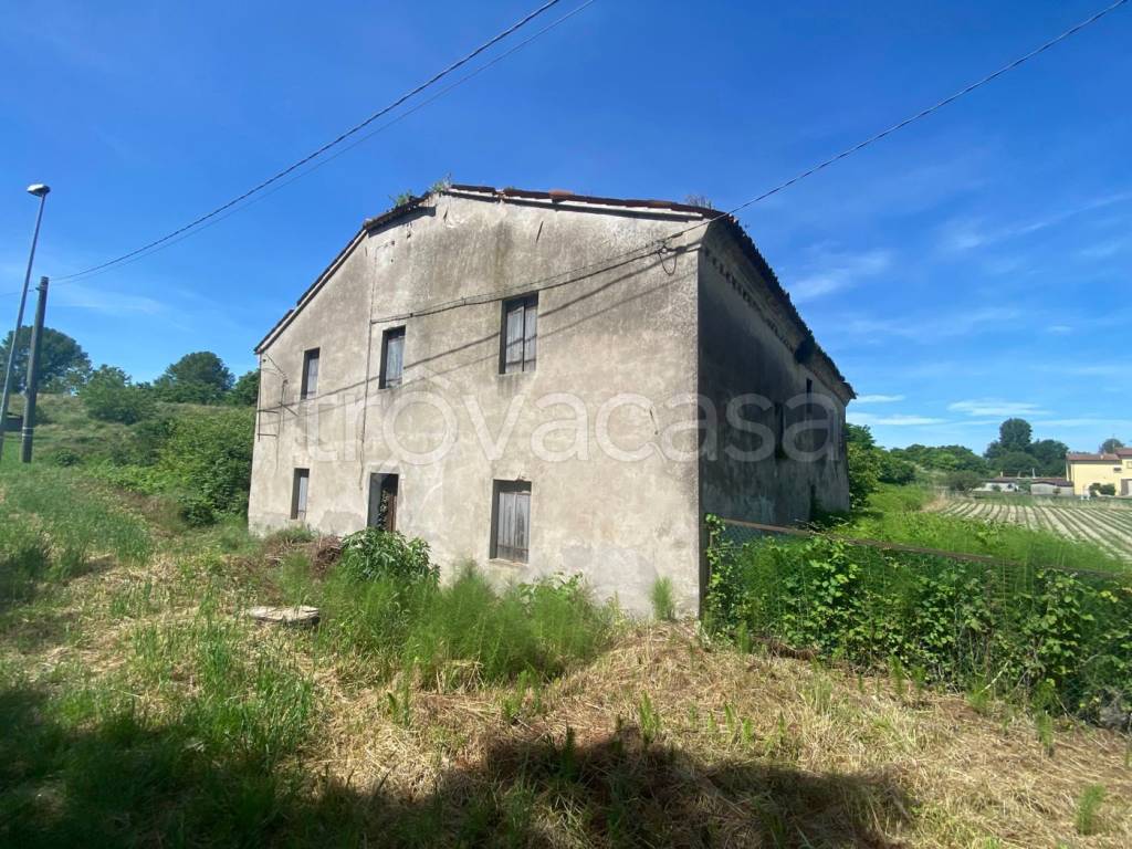 immagine annuncio 4 di 11