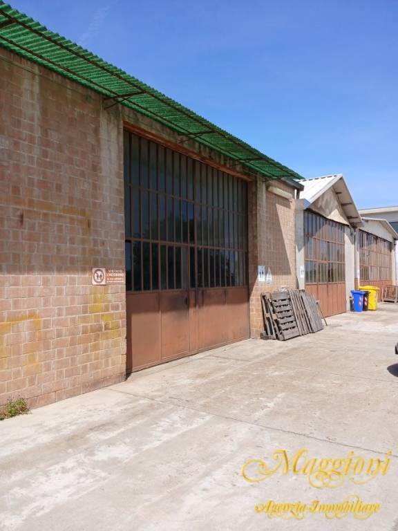 immagine annuncio 5 di 7